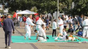 Vinci. Festa della sport, parte la macchina organizzativa per l’edizione del 2026